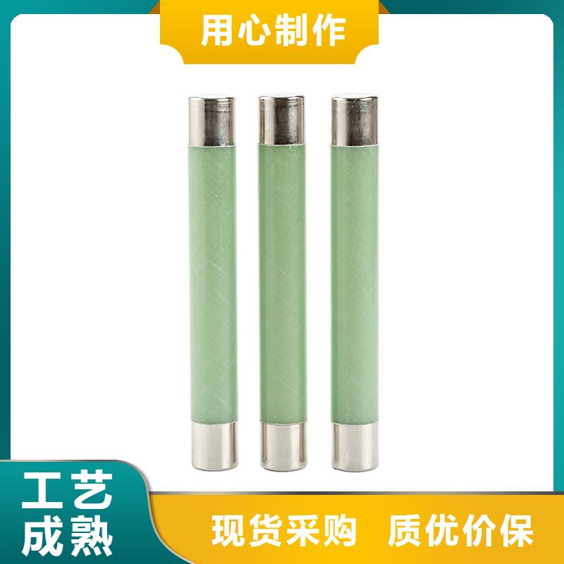 XRNP-40.5/0.5A限流熔断器万宁市