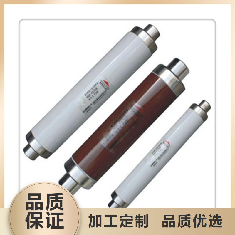 BRN-10/10A双管限流熔断器