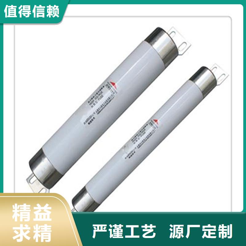 RN3-6/150双管限流熔断器