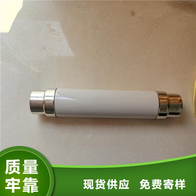 XRNP1-12KV/3.15A熔断器