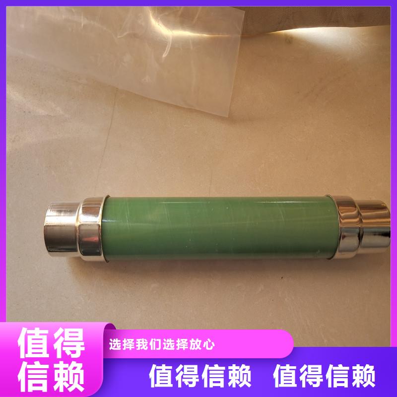 XRNP1-12KV/3.15A熔断器