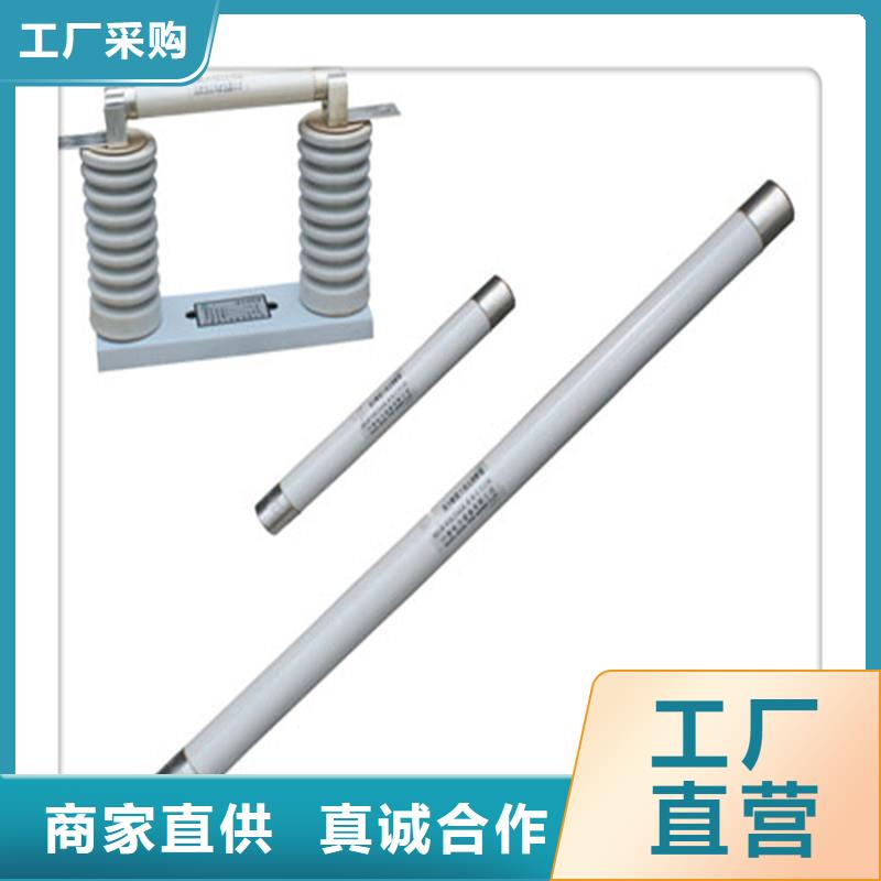 XRNM-10KV高压熔断器