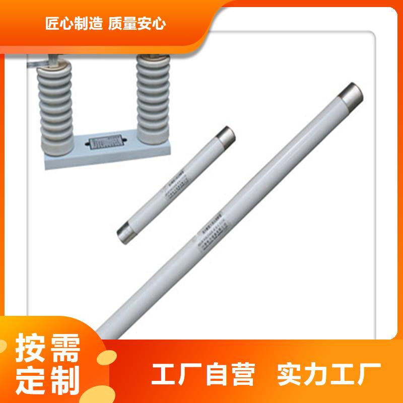 XRNP-35/0.5A熔断器