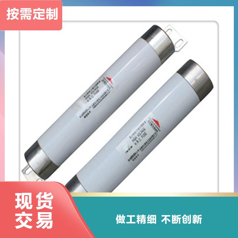 XRNP-7.2/2A高压熔管