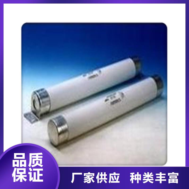 BRN-10/10A双管限流熔断器