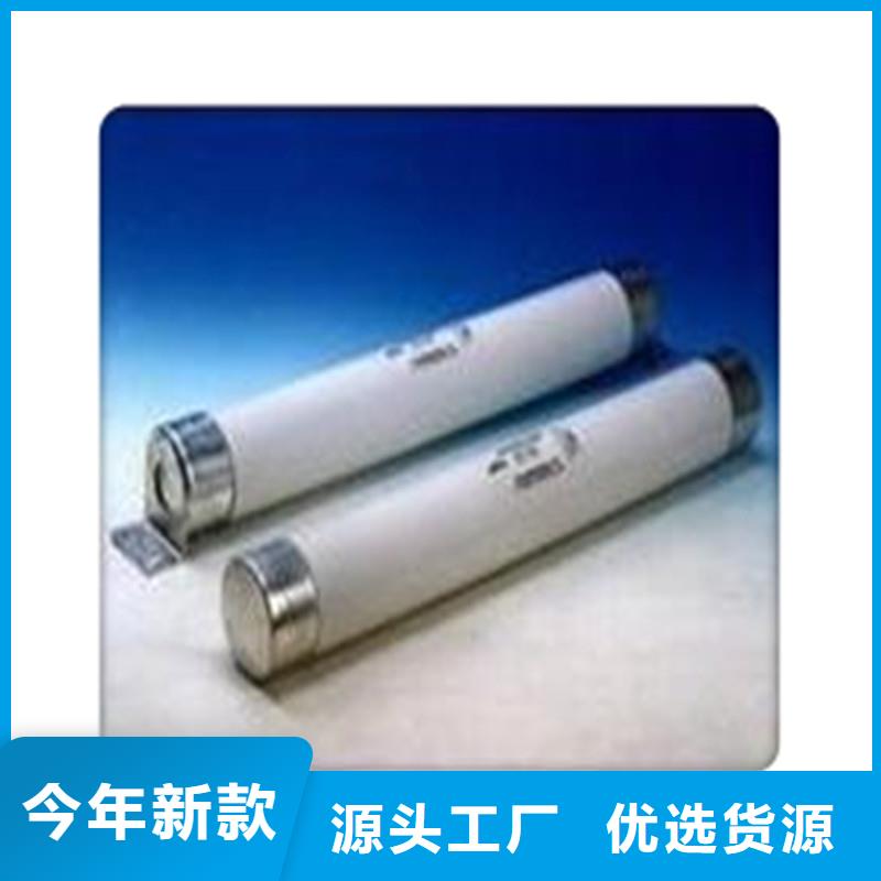 XRNP-40.5/0.5A限流熔断器万宁市