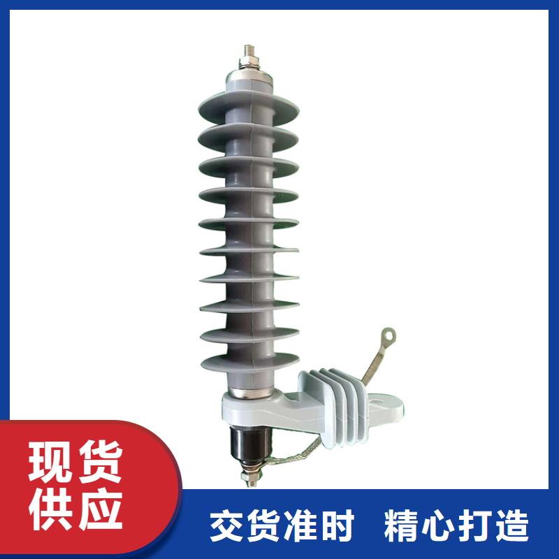 HY5WZ1-17/45电站型避雷器