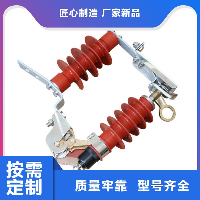 HY5WZ1-17/45电站型避雷器