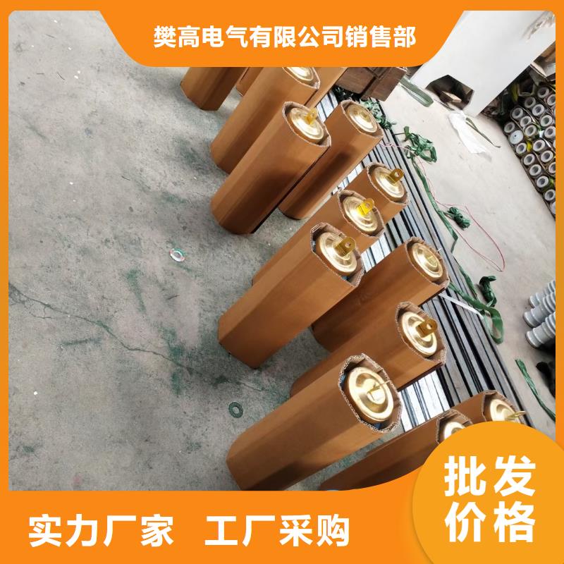 Y5W1-228/565W线路间隙避雷器