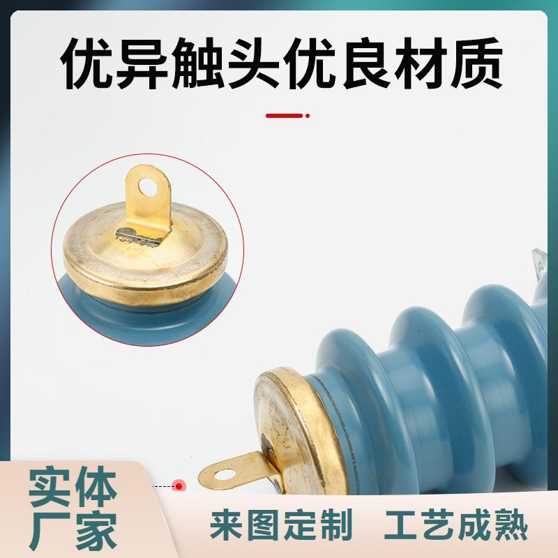 FCD-3高压避雷器
