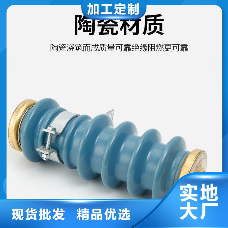HY10CX-100/260E支柱式避雷器装置