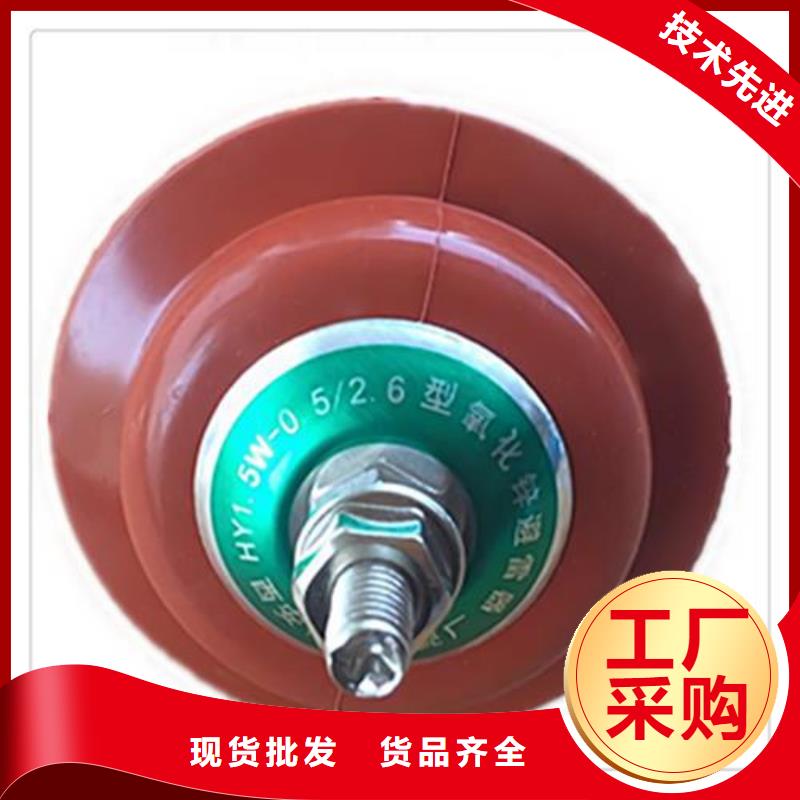 HY10CX-100/260E支柱式避雷器装置