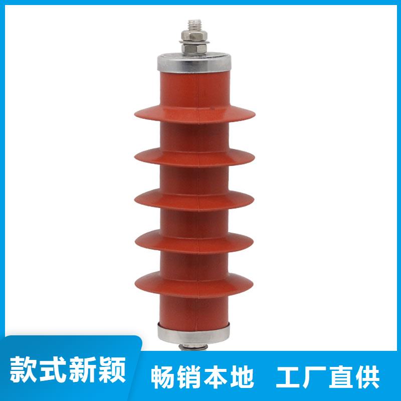 HY5WZ1-17/45电站型避雷器