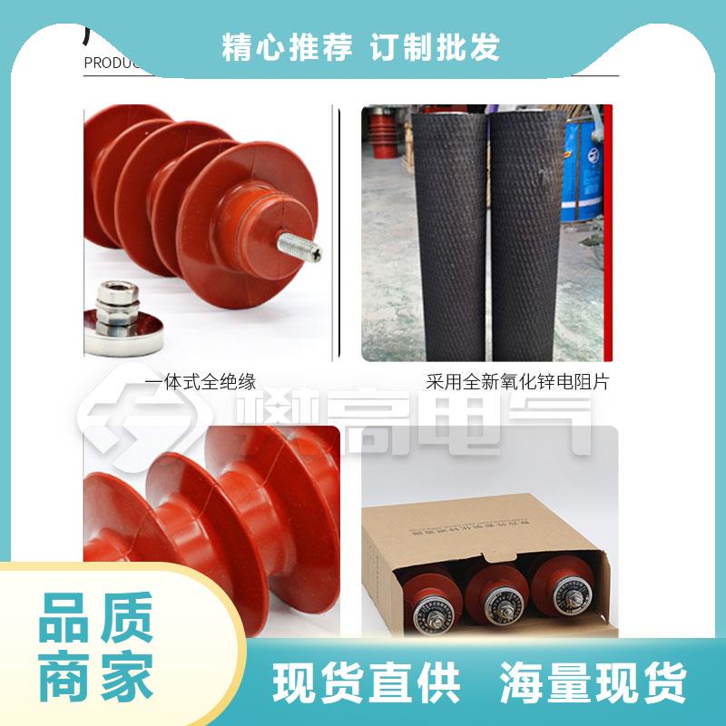 HY5WD2-20/45电容型避雷器五指山市