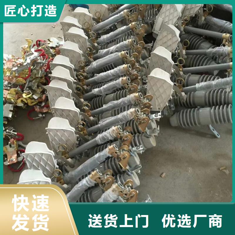 XRNP-35/2A高压保险管