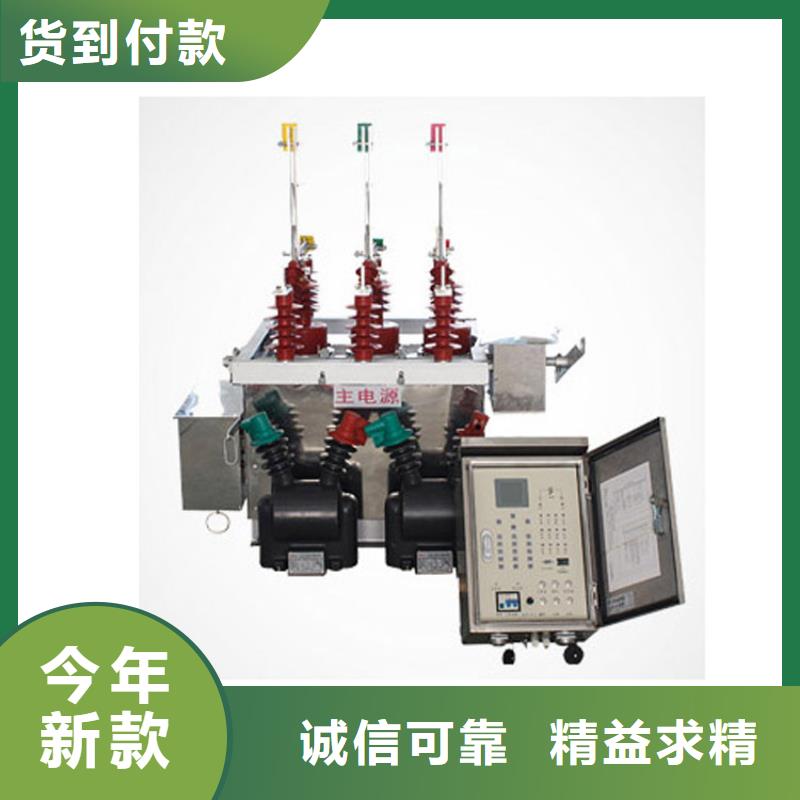 ZW7-40.5/T630-20户外高压真空断路器