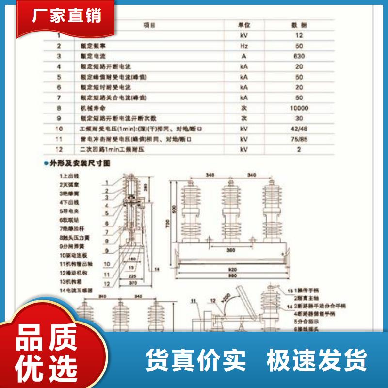 ZW7-40.5/T630-20户外高压真空断路器