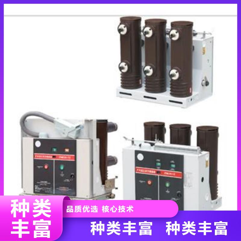 ZN28A-12/1000断路器