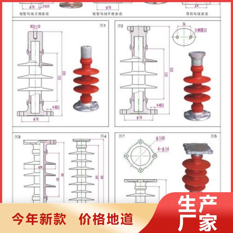 ZJ-10Q/70*130高压环氧树脂绝缘子
