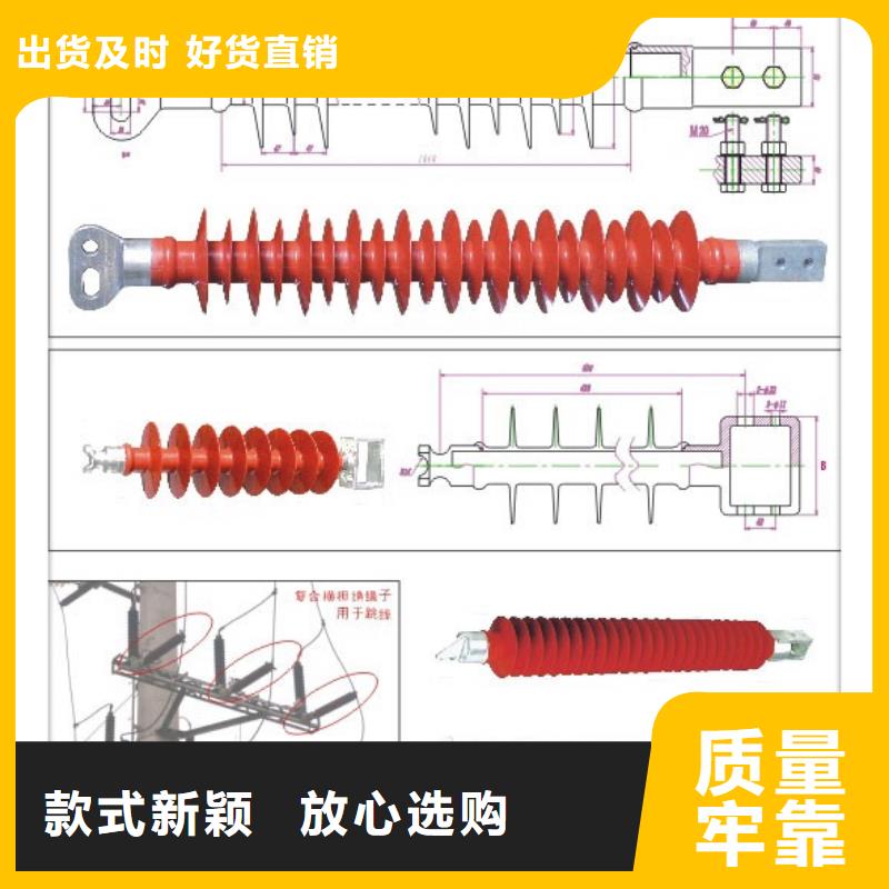 FZSW3-40.5/5复合支柱绝缘子
