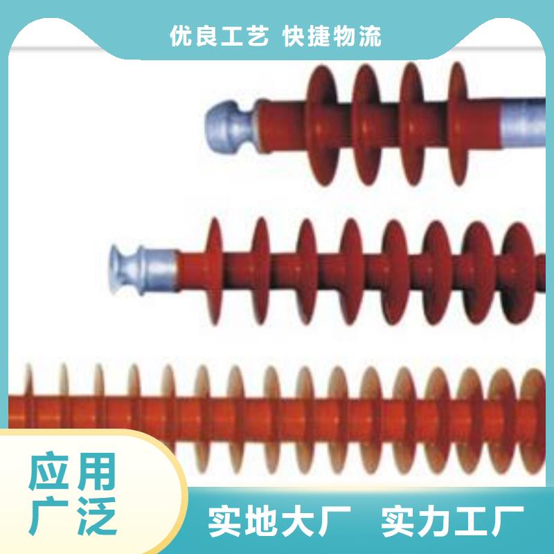 ZSW-20/3000绝缘子