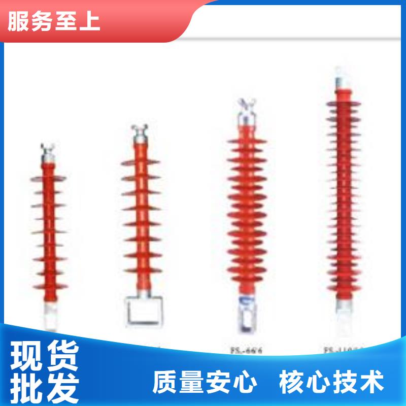 ZJ-10Q/70*130高压环氧树脂绝缘子
