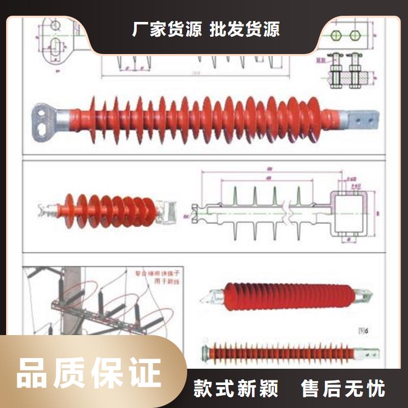 ZJ-10Q/70*130高压环氧树脂绝缘子