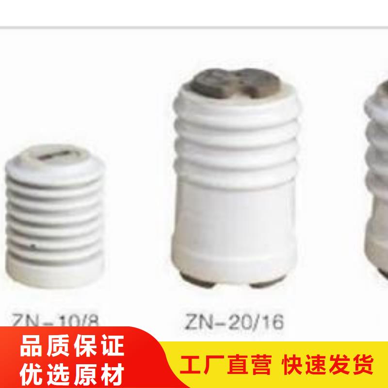 ZJ-10Q/70*130高压环氧树脂绝缘子