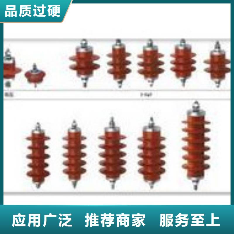 TBP-A-42F/310过电压保护器