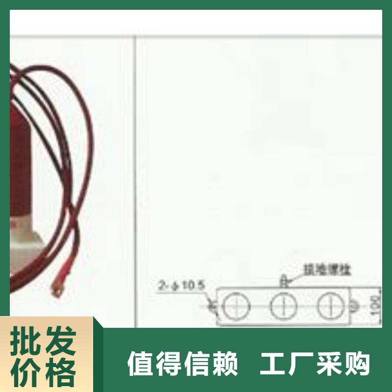 过电压保护器高低压电器公司工厂现货供应