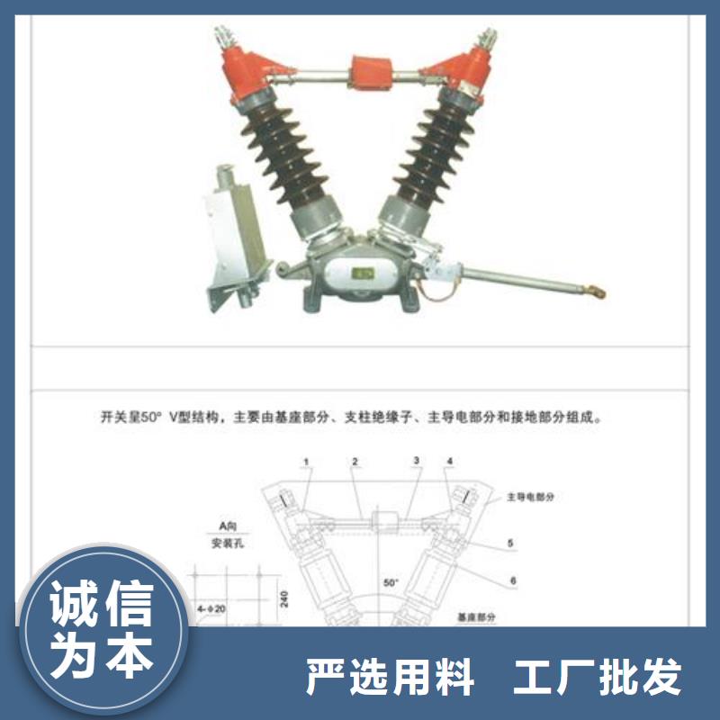 GN30-10/630A高压隔离开关