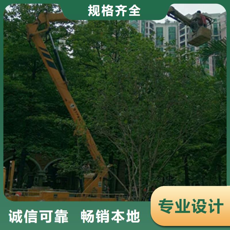 高空作业车租赁实力厂家