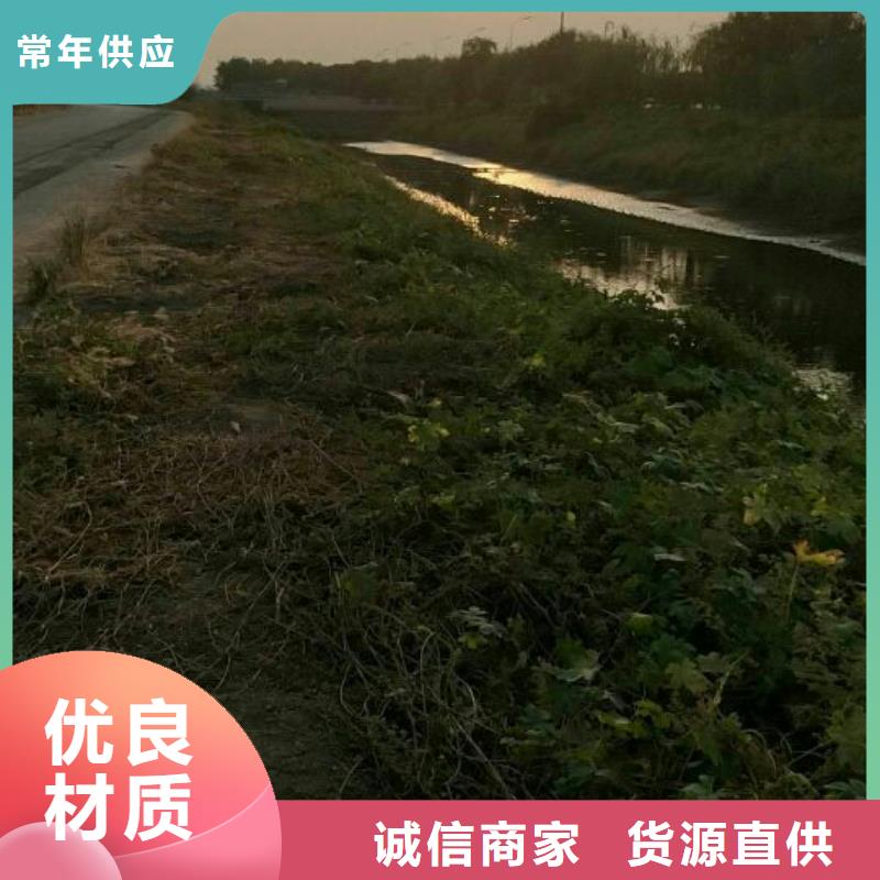 淤泥固化剂高速公路固化土工艺