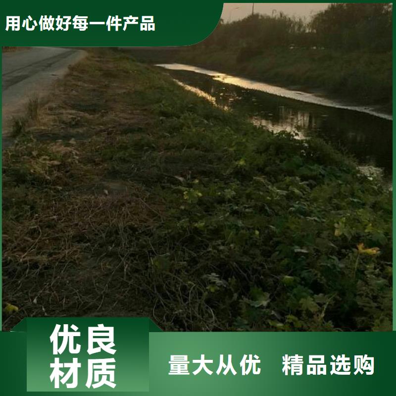 污泥处理【土壤固化剂】来图来样定制