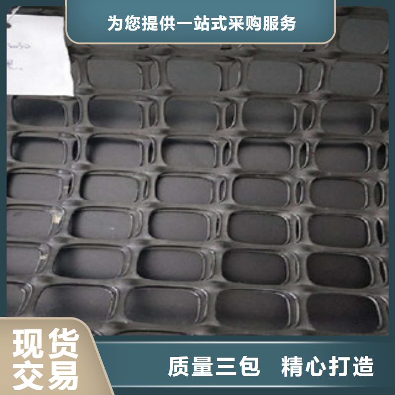 双向塑料格栅,塑料排水板专业生产厂家