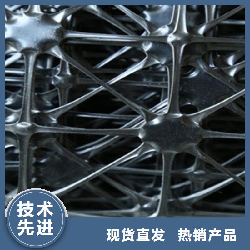 双向塑料格栅_复合土工布工厂批发