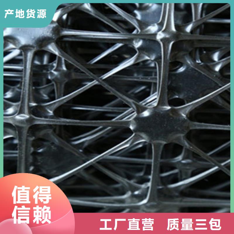 【双向塑料格栅】塑料土工格栅现货齐全售后无忧
