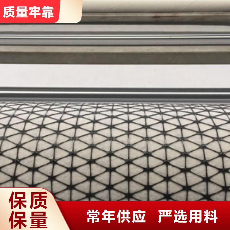 【双向塑料格栅】塑料土工格栅现货齐全售后无忧