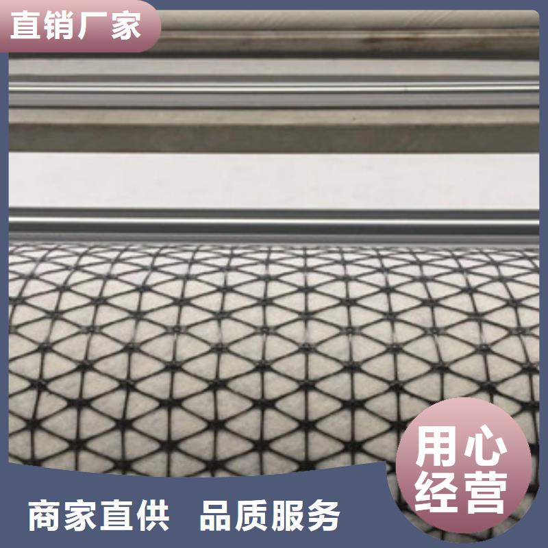 双向塑料格栅,防裂贴抗裂贴真正的源头厂家