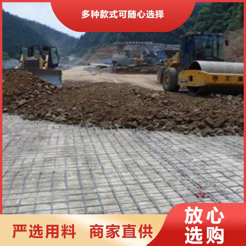 【钢塑土工格栅塑料土工格栅懂您所需】