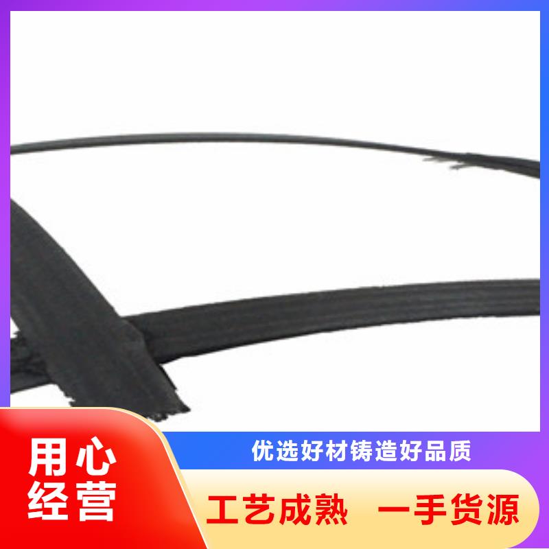 钢塑土工格栅高强度土工网欢迎来电询价