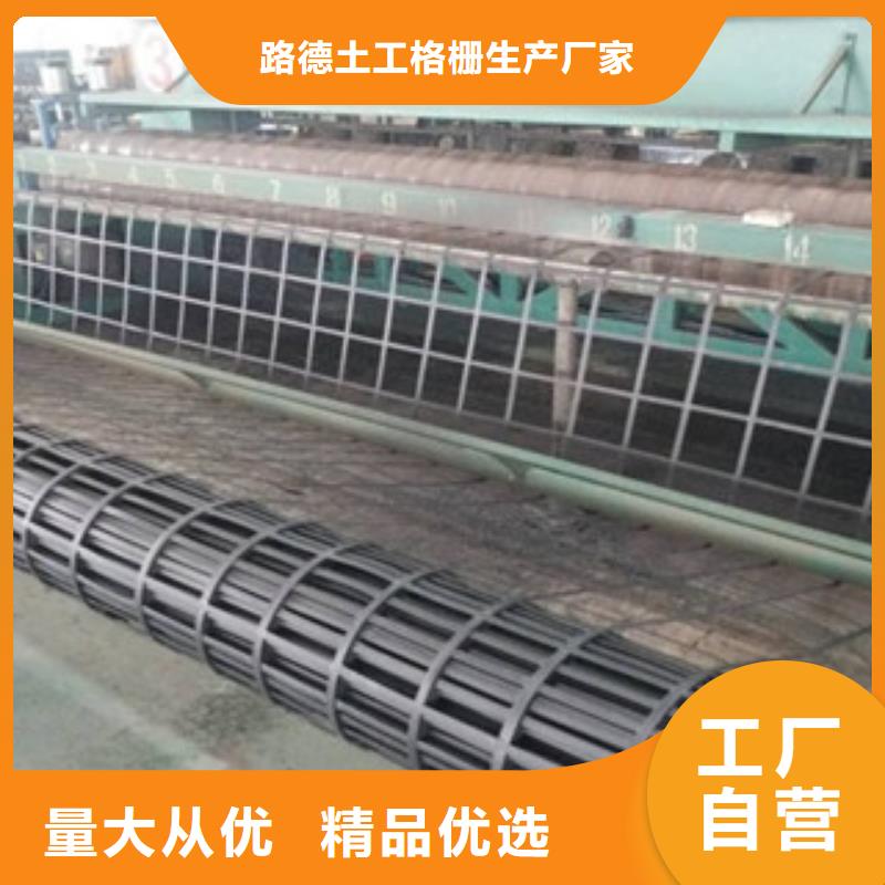 钢塑土工格栅高强度土工网欢迎来电询价