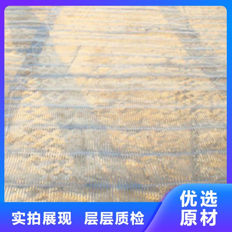 单向塑料格栅膨润土防水毯商家