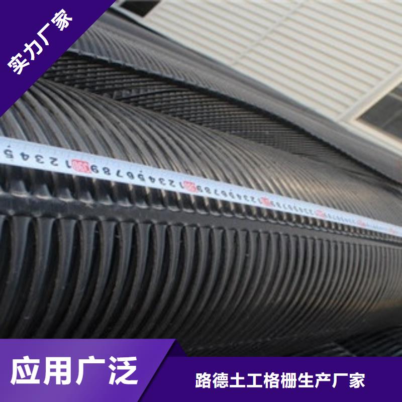 单向塑料格栅_高强度土工网一手货源源头厂家