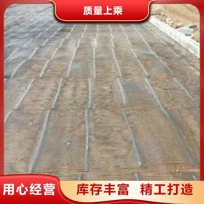 单向塑料格栅塑料土工格栅经验丰富质量放心