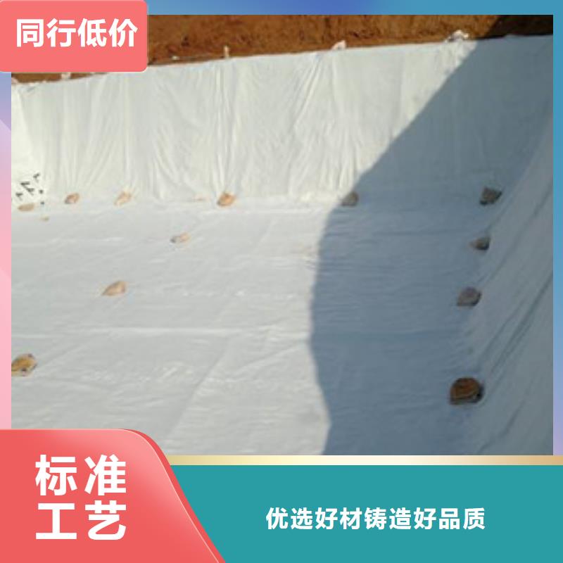 土工布,膨润土防水毯一站式供应
