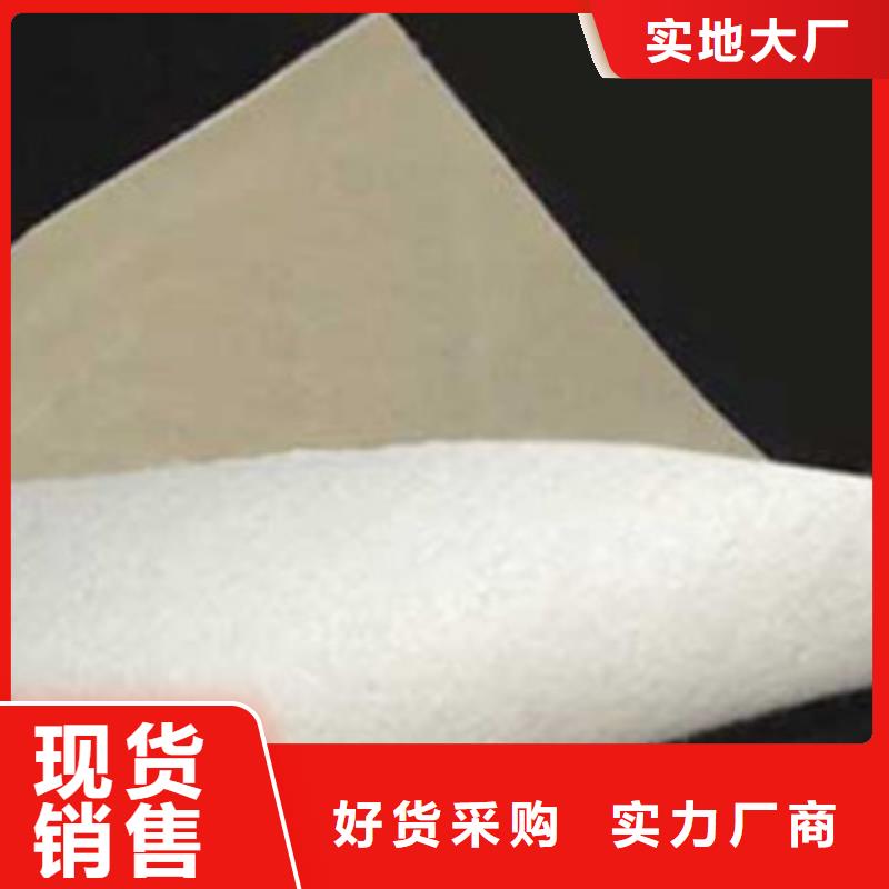 土工布钢塑土工格栅专业生产厂家