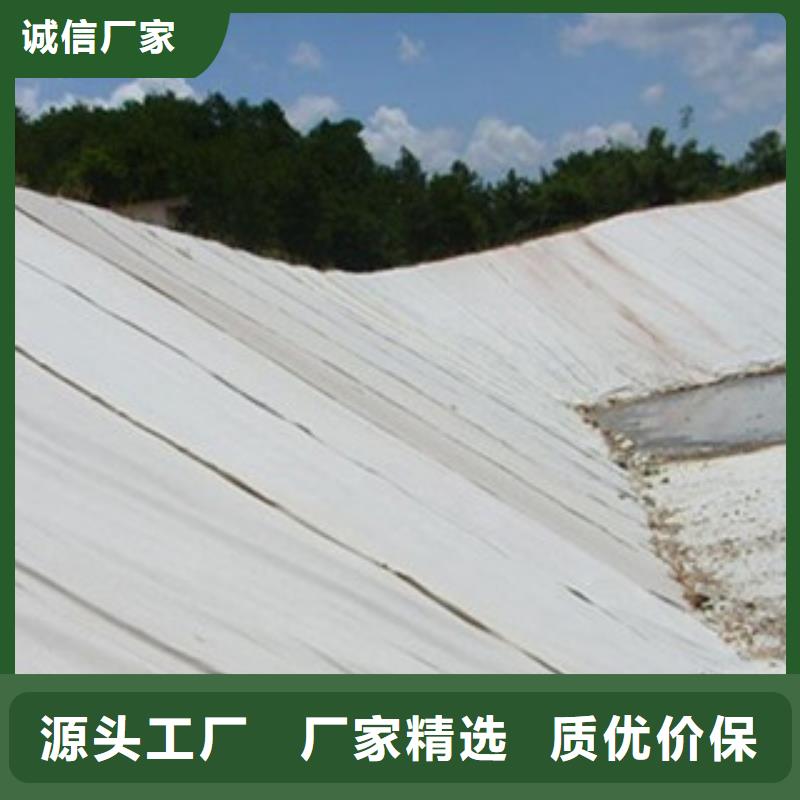 土工布高强度土工网质优价保
