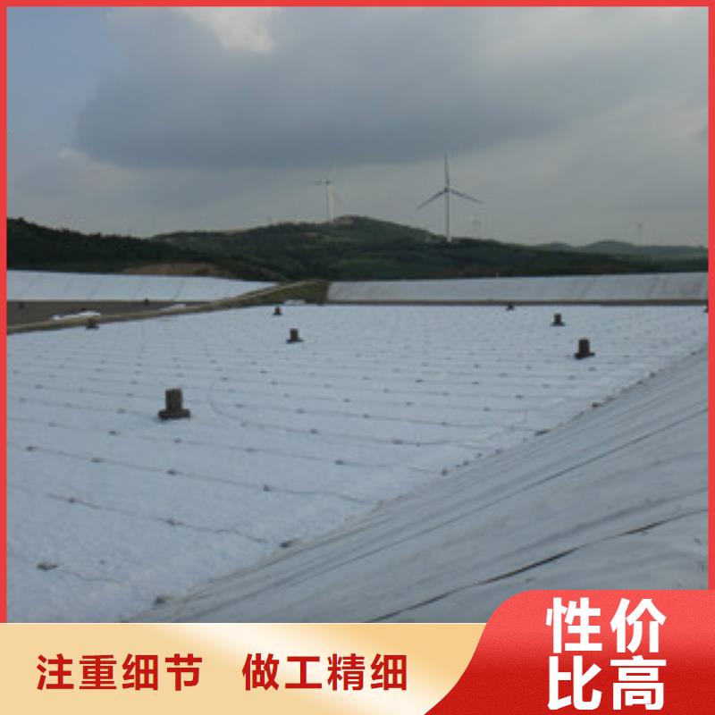 土工布高强度土工网质优价保
