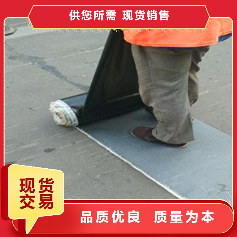 【防裂贴高强度土工网产地直供】